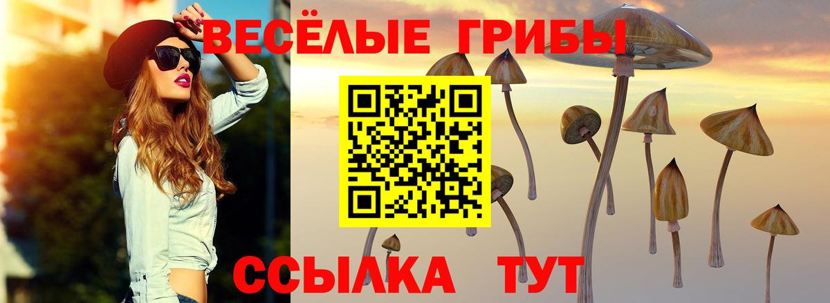 Псилоцибиновые грибы Psilocybine cubensis Гулькевичи