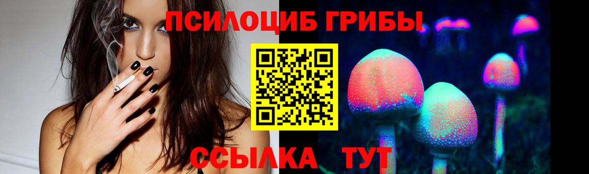 Псилоцибиновые грибы MAGIC MUSHROOMS  Вход с VPN  Гулькевичи 